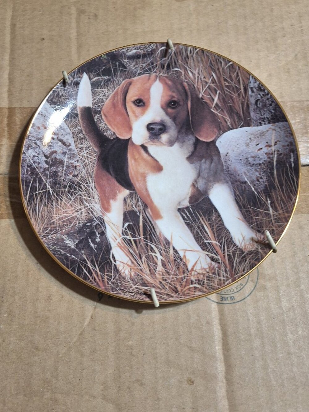 beagle WHY NOT plate